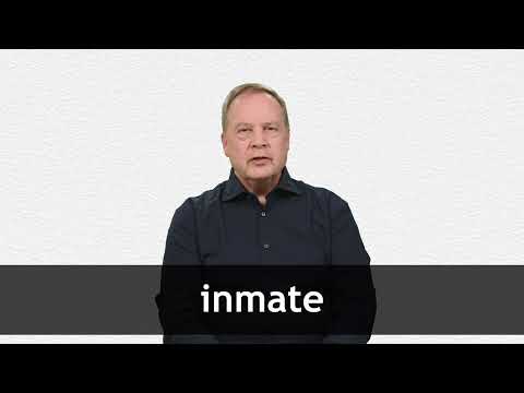 Understanding the Notion of “Inmate” in Modern Society